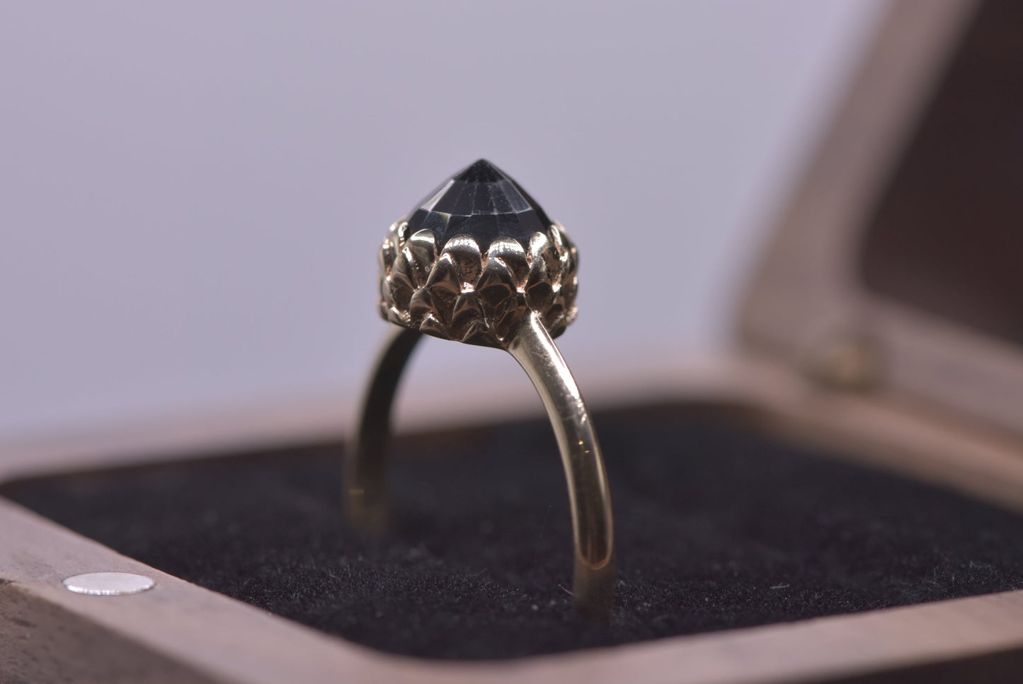 Meadowlark protea ring - 9ct yellow gold with Onyx