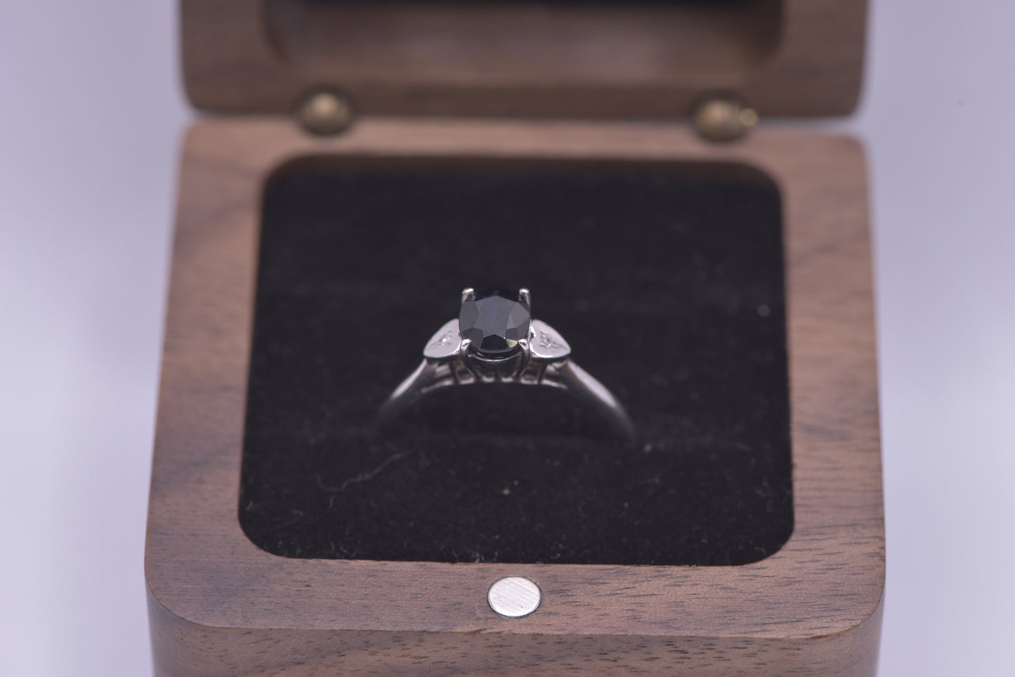 Amore - 9ct white gold Sapphire ring