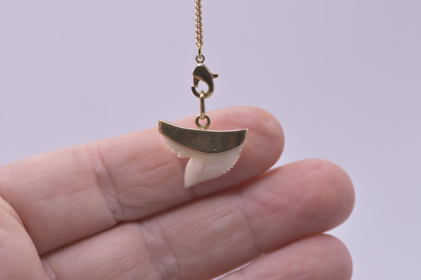 Shark tooth pendant