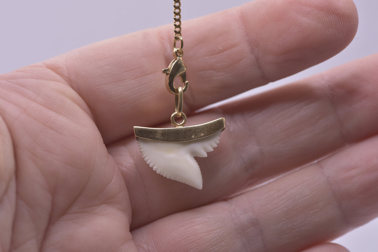 Shark tooth pendant