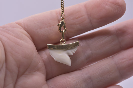 Shark tooth pendant
